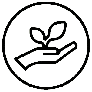 Matica Cosmetics Naturkosmetik aus Hamburg Natürliche Inhaltstoffe Logo