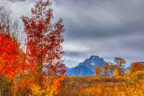 Selfcare Hautpflege Matica Cosmetics Naturkosmetik