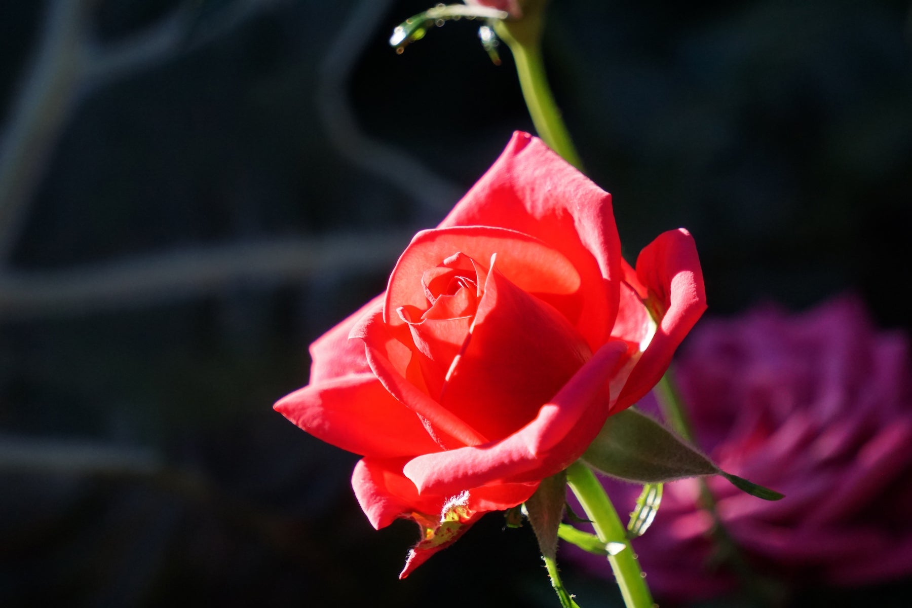 Menstruation PMS Naturkosmetik Matica Cosmetics