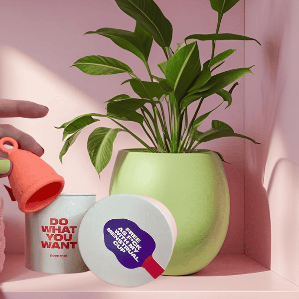 Die Menstruationstasse von NeverNot aus medizinischem Silikon steht neben einem Blumentopf auf dem Regal im rosa Zimmer – stilvoll, hygienisch, wiederverwendbar.
